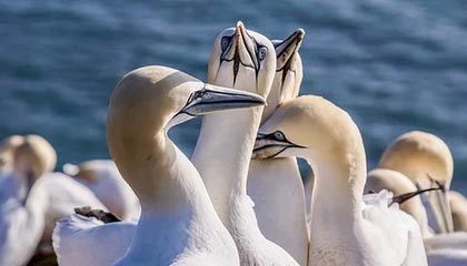 乐鱼APP下载-超三联赛社媒分享视频：小个子怎么打超三，木乃天生告诉你答案