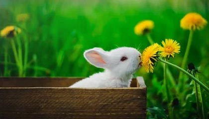 乐鱼APP下载-超三联赛社媒分享视频:小个子怎么打超三,木乃天生告诉你答案